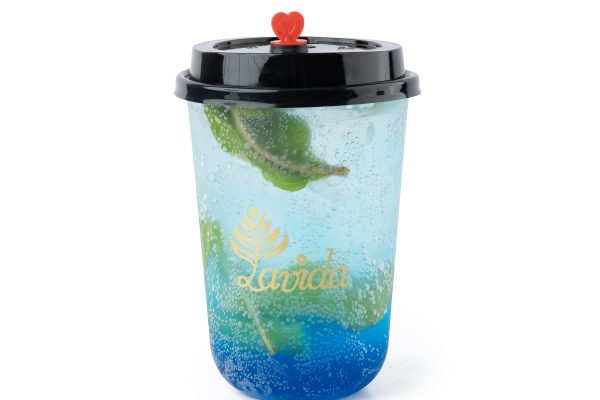 Blueberry Mojito